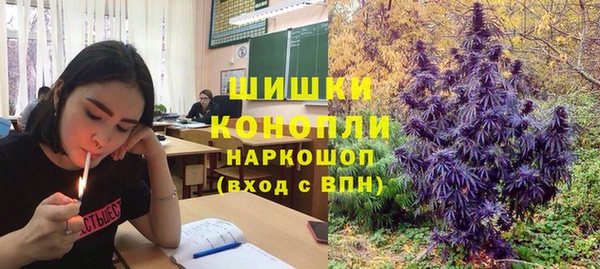 амф Елабуга