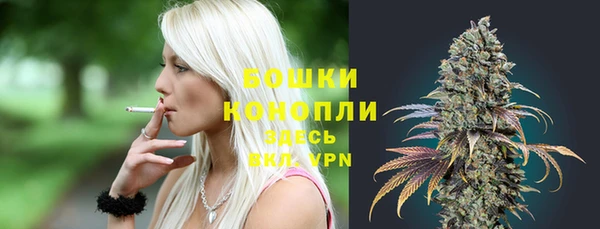 дживик Дмитриев