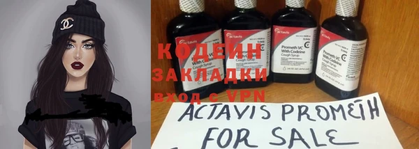 индика Елизово