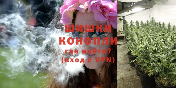 кокс Дмитров