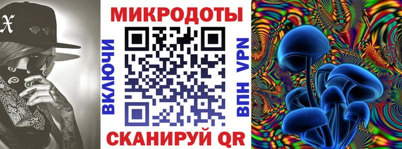 Купить где  Перевоз  Псилоцибиновые грибы ЛСД 